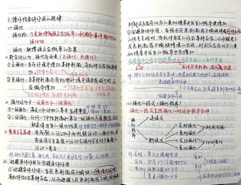 說明: 2017級(jí)學(xué)前教育2班（專升本）--王曉靜